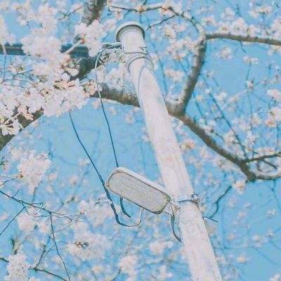 貂蝉手游官方下载
