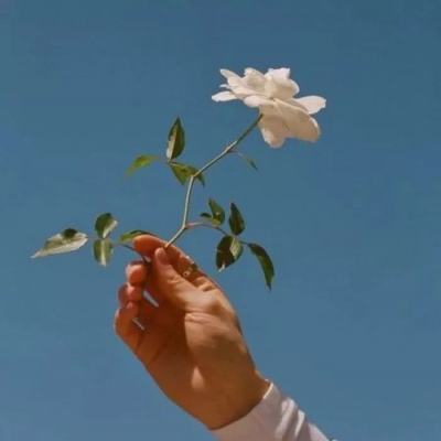 不存在的世界正版下载
